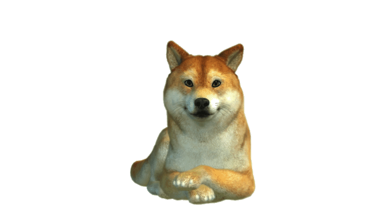 Doge Dancing